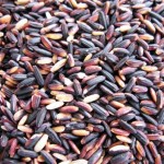black glutinous rice1