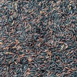 black jasmine rice